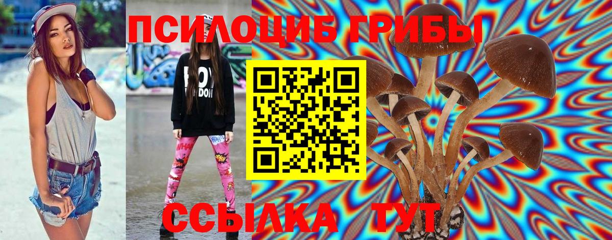Псилоцибиновые грибы MAGIC MUSHROOMS  Вход с VPN  магазин продажи   Артёмовский 