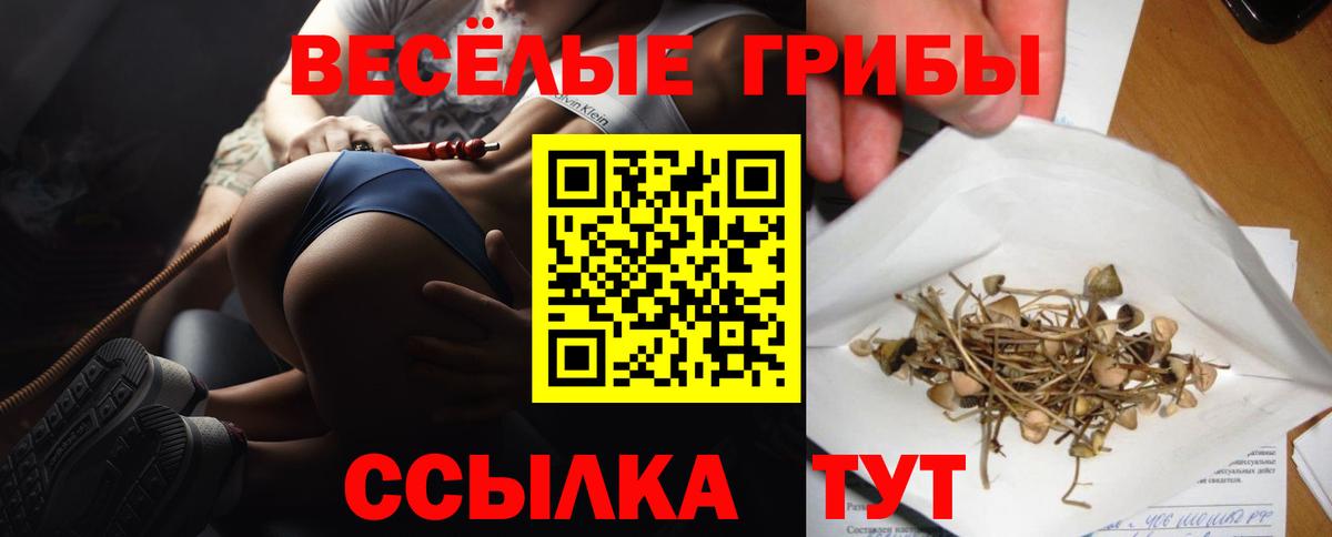 Псилоцибиновые грибы Magic Shrooms Артёмовский